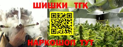 ECSTASY Обь