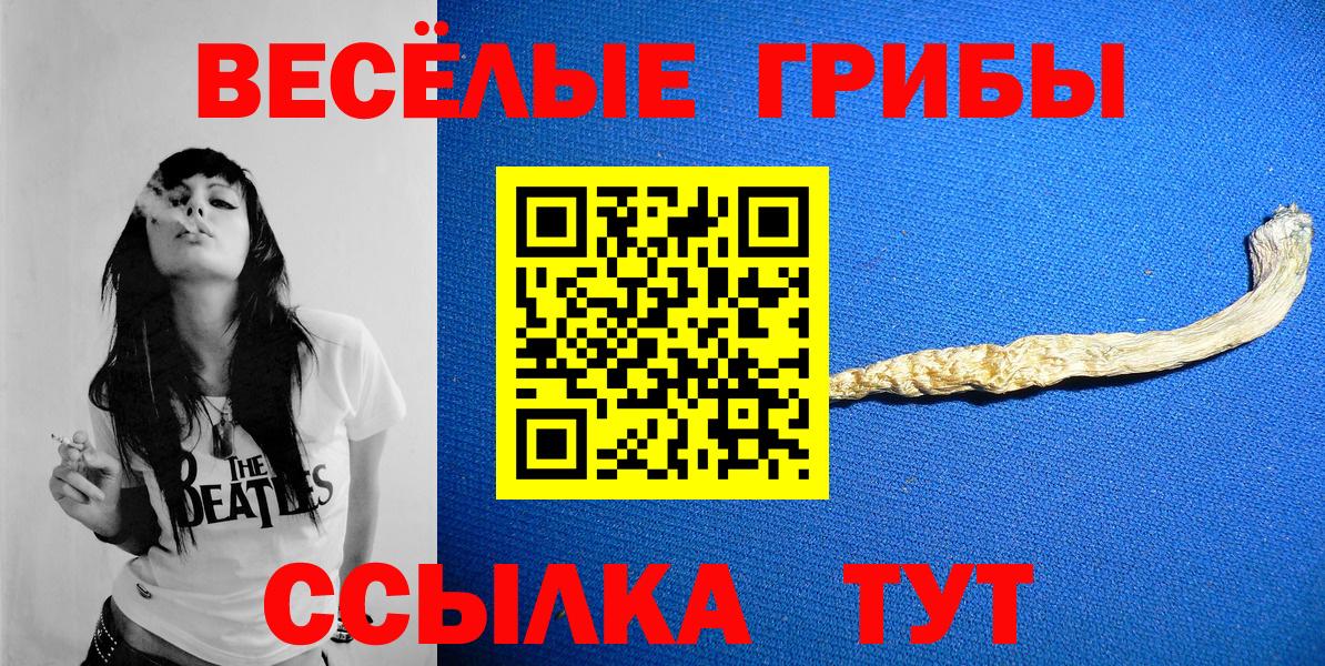 Галлюциногенные грибы мицелий  Псилоцибиновые грибы Psilocybe  Узловая  Вход с VPN 
