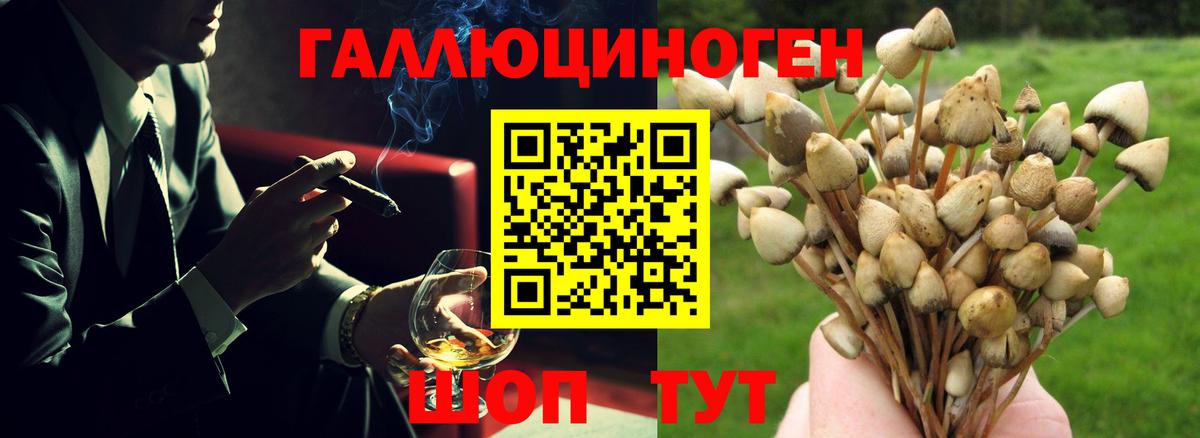 Псилоцибиновые грибы прущие грибы Узловая